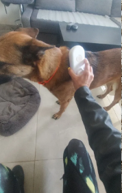 Finalmente una soluzione!