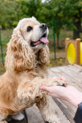 Finalmente niente più nodi!